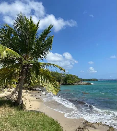 destinationsSection.destinations.martinique