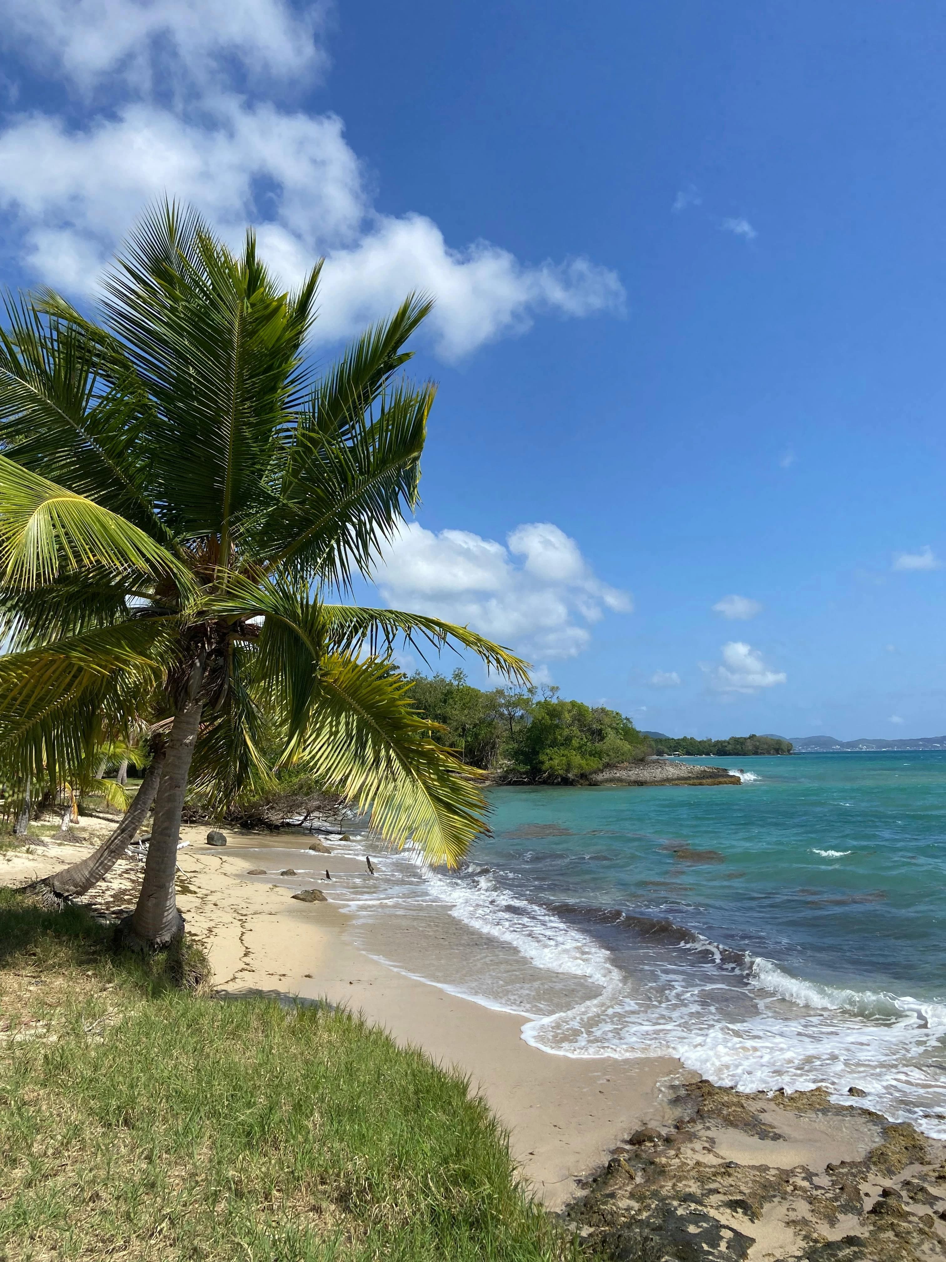 destinationsSection.destinations.martinique