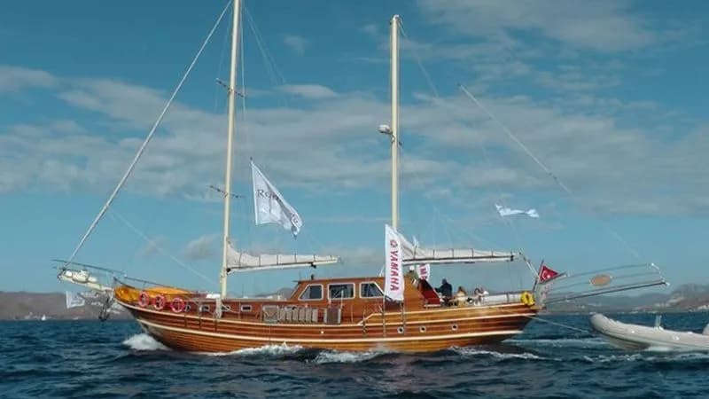 Neptun Neptun boat image