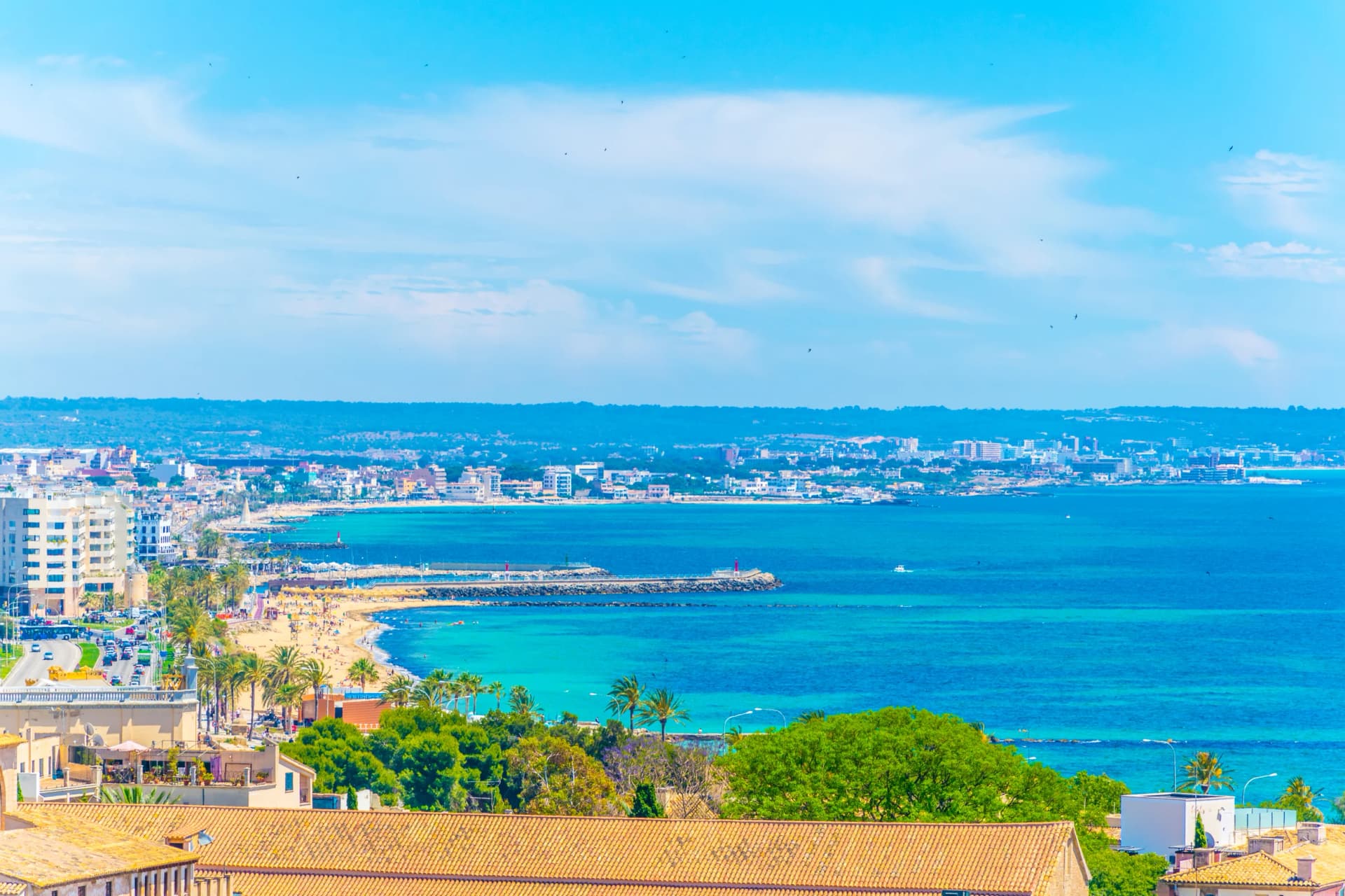 Palma Main