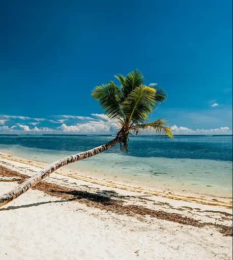 destinationsSection.destinations.seychelles