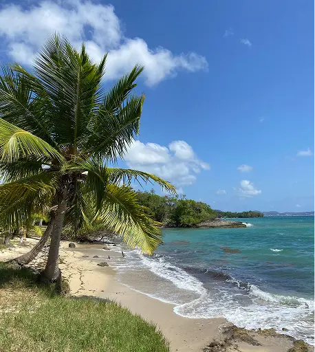 destinationsSection.destinations.martinique