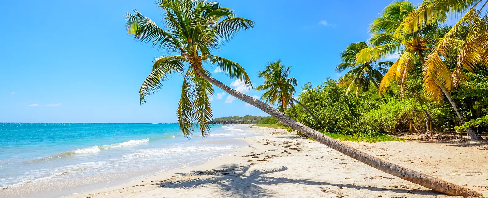 British Virgin Islands