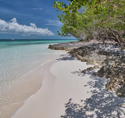 Green Turtle Cay
