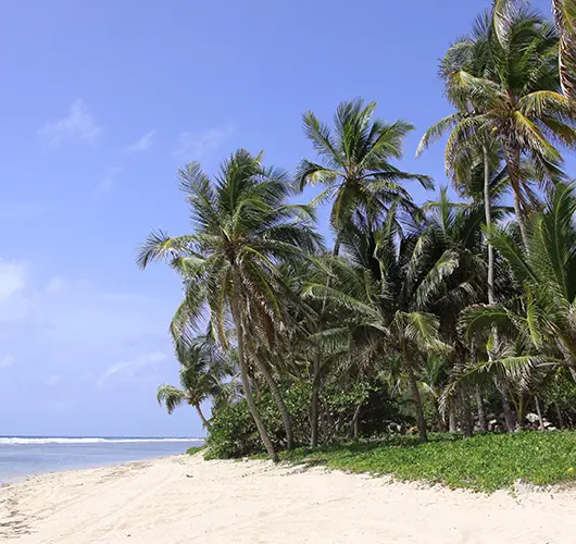 Peter Island