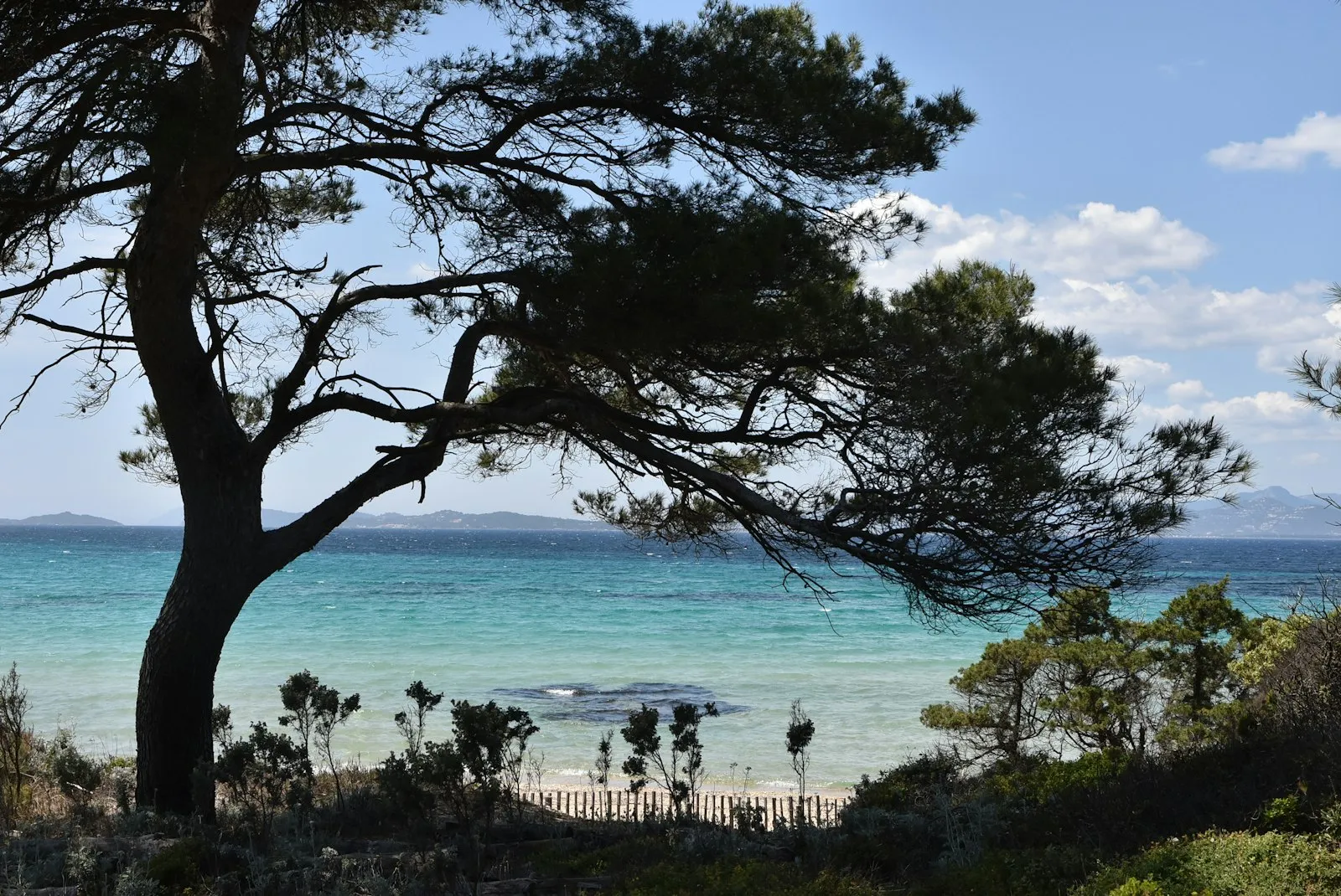 Porquerolles