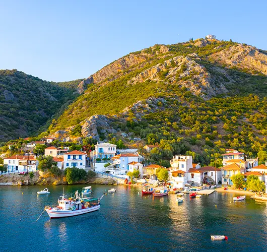 Dhokos