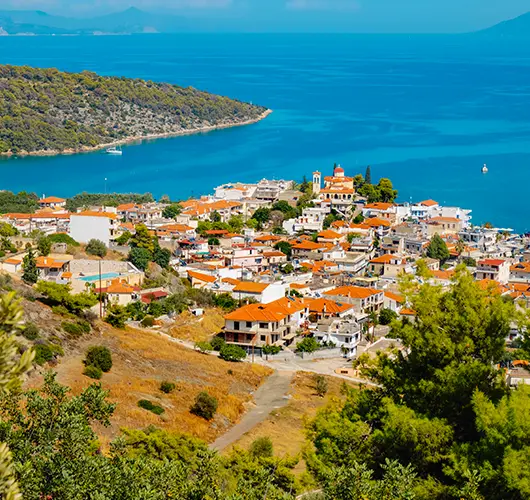 Palaia