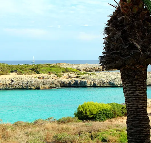 Cala en Bosch