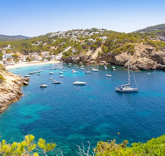 Cala Vedella