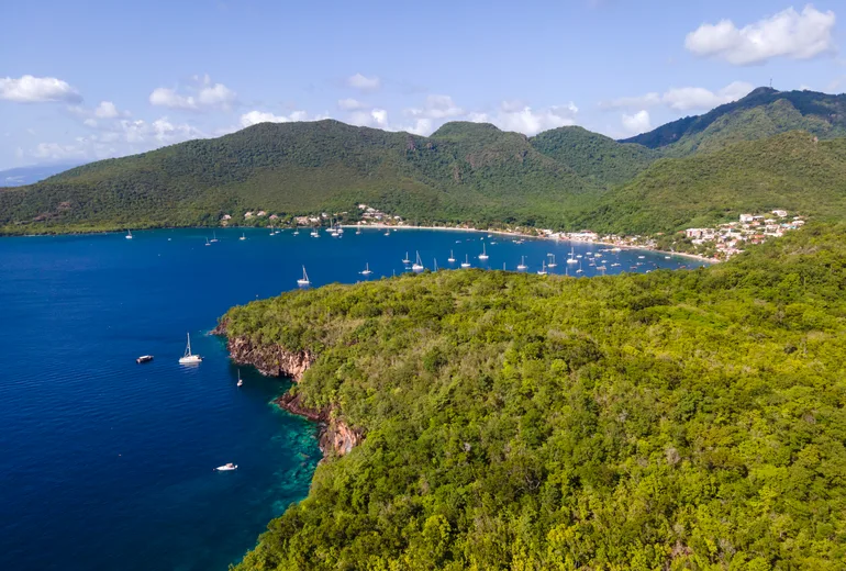 Aerial of a forested headland and village bay dotted with anchored sailboats