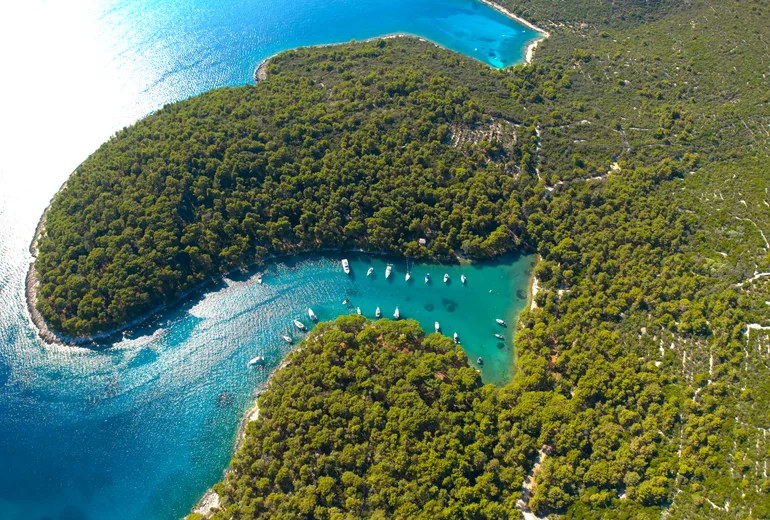 Aerial of a winding pine-forested bay with sailboats moored in line in Croatia